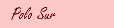 Polo Sur